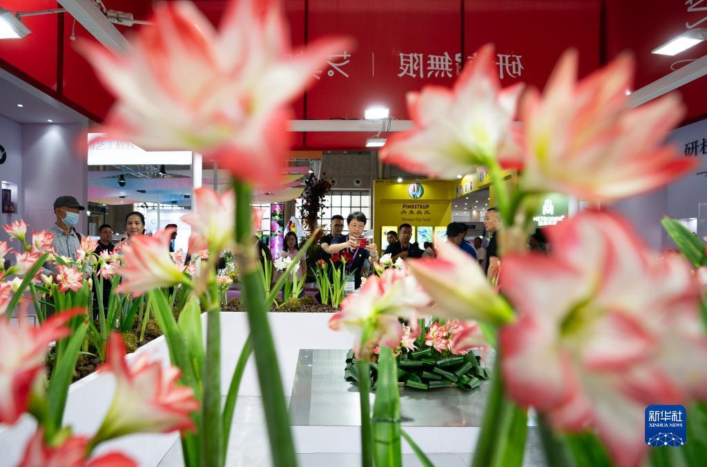 皇冠信用网